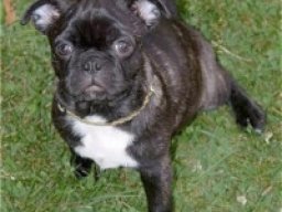 bugg_20211217_1936339960